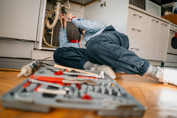 Best Affordable Plumbing Services  in Cedar Falls, IA