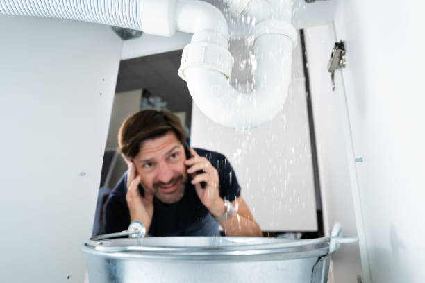 Best Sewer Line Repair  in Cedar Falls, IA