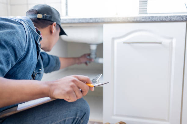 Best Clogged Drain Plumber  in Cedar Falls, IA