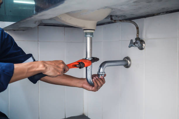 Best Toilet Repair Services  in Cedar Falls, IA