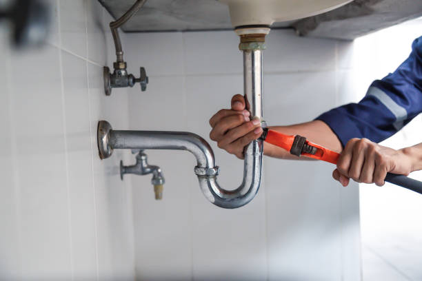Best Toilet Repair Services  in Cedar Falls, IA