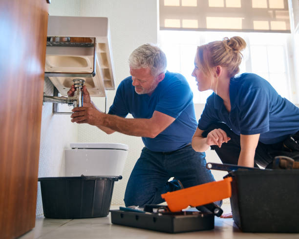 Best Plumbing Repair Near Me  in Cedar Falls, IA